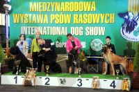 Best of Group II<br>judge: Małgorzata Hałas